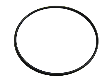 Casing O Ring